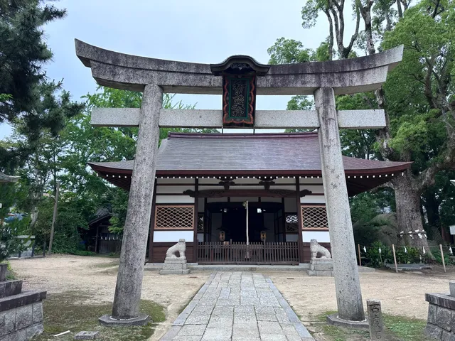 photo-1