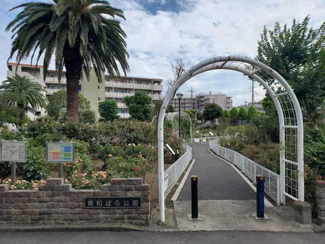 Adachikuritsuseiwabara Park
