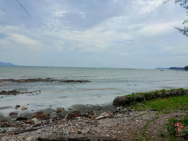 photo-1