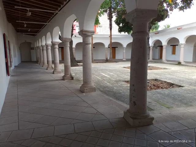 MUSEO ERVIN FRISSELL