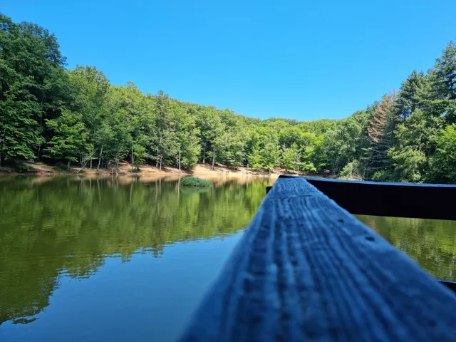 Riserva naturale della Foresta Umbra