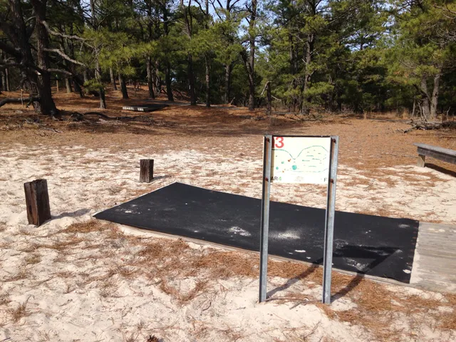 Cape Henlopen Disc Golf Course