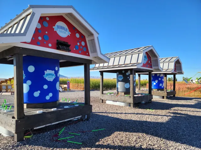 Cornbelly's Corn Maze & Pumpkin Fest