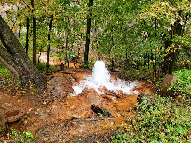 Big Mine Run Geyser