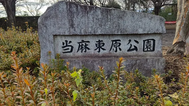 Taima Azumahara Park