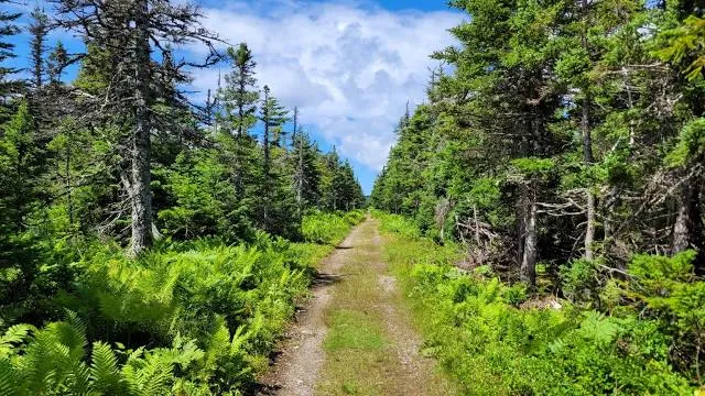 Benjie's Lake Trailhead