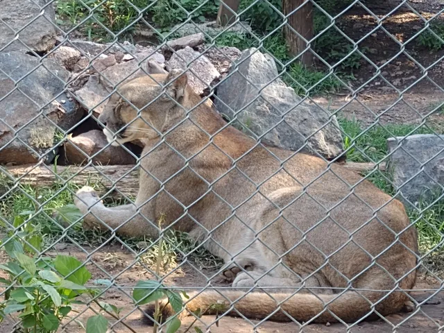 Pumakawa Animal Reserve