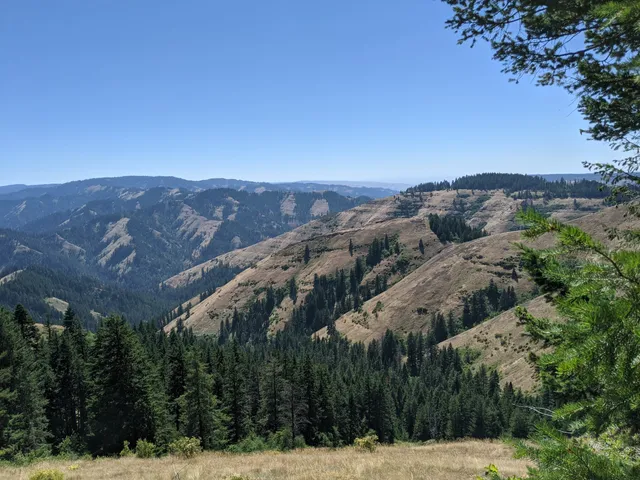 Umatilla National Forest