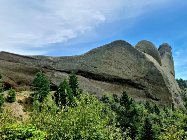 Fir of Drenova National Park