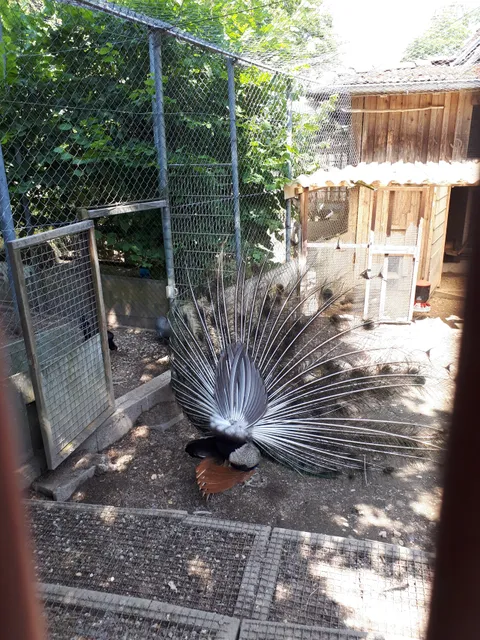 Kleintierzoo Ravensburg