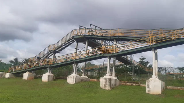 photo-1