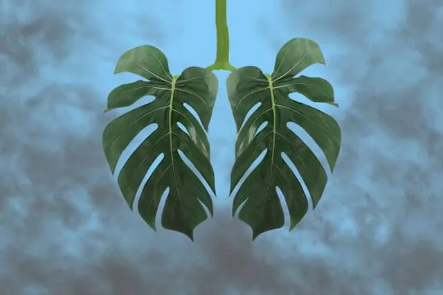 Suvarnodyanam Biological Park