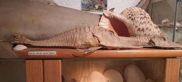 Meeresmuseum Kurt Kreipl