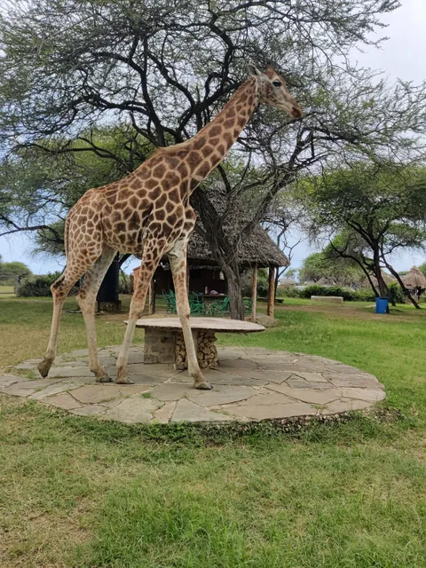 Nguuni Nature Sanctuary