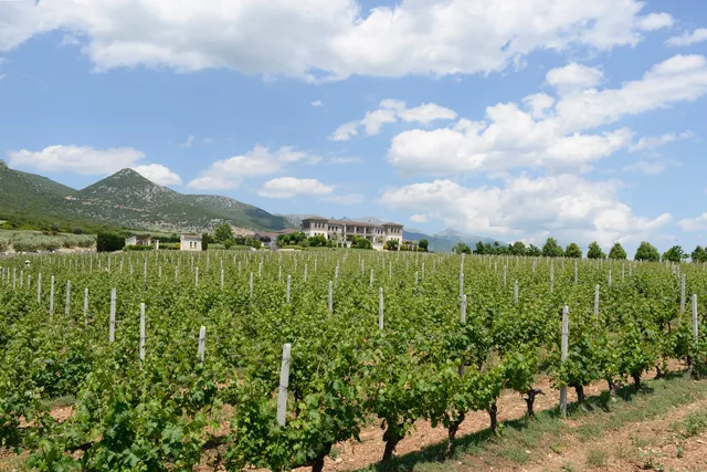 Ktima Biblia Chora Winery