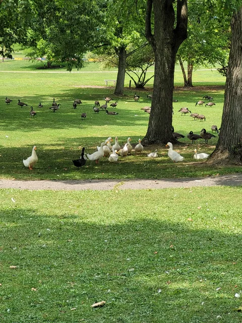Cambridge City Parks