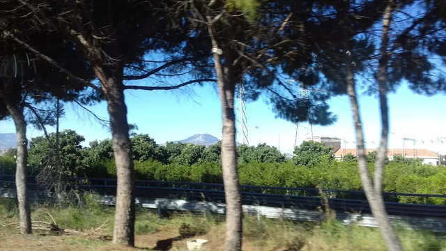 Giardino della Memoria