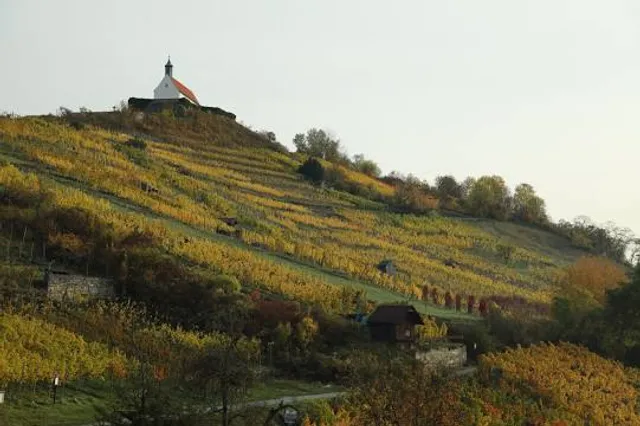 place image