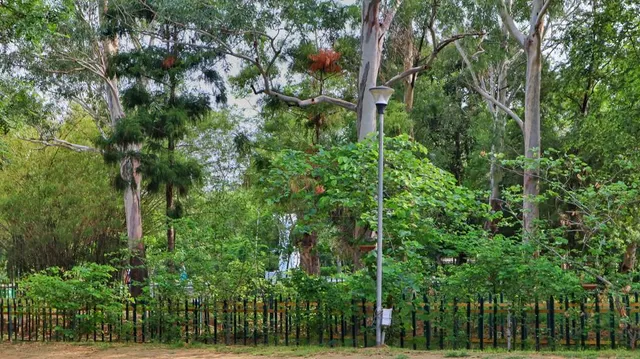 Nehru Garden