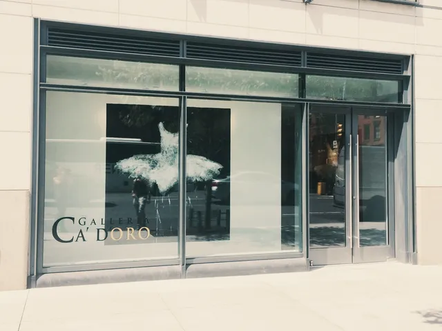 Galleria Ca' d'Oro