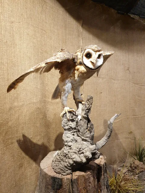 Greenbushes Discovery Centre