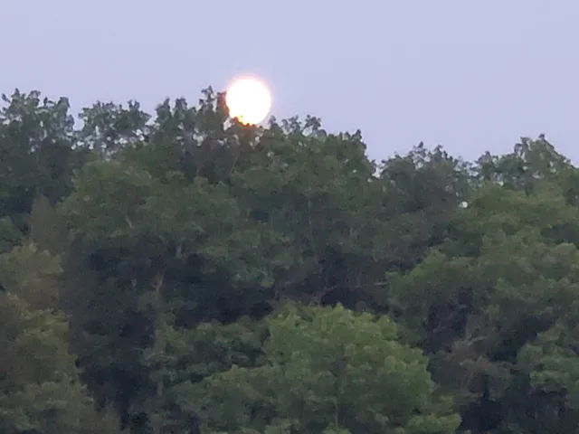 photo-1