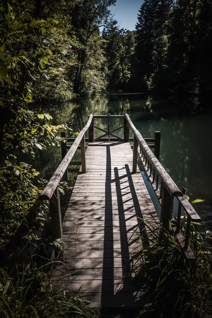Waldsee Farenbachtobel