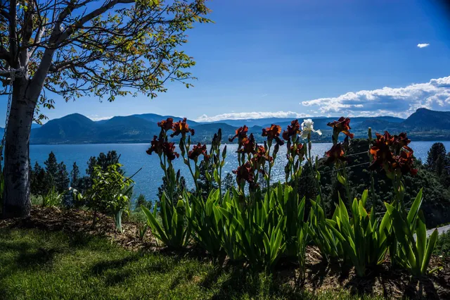 Kettle Valley Winery LTD