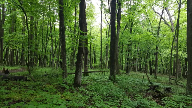 Norwegian Ridge Birding & Nature Trails