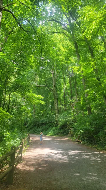 Wissahickon Creek Trailhead