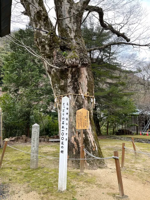 photo-2