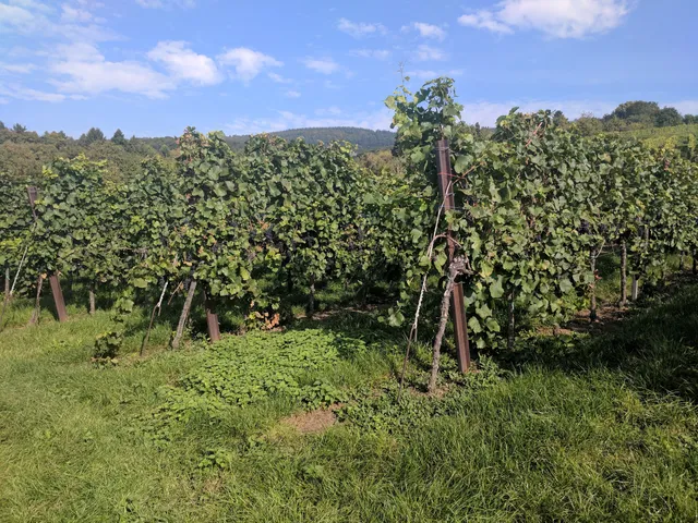 Erlebniswanderweg Wein und Kultur, Einstiegspunkt Soldatenweg