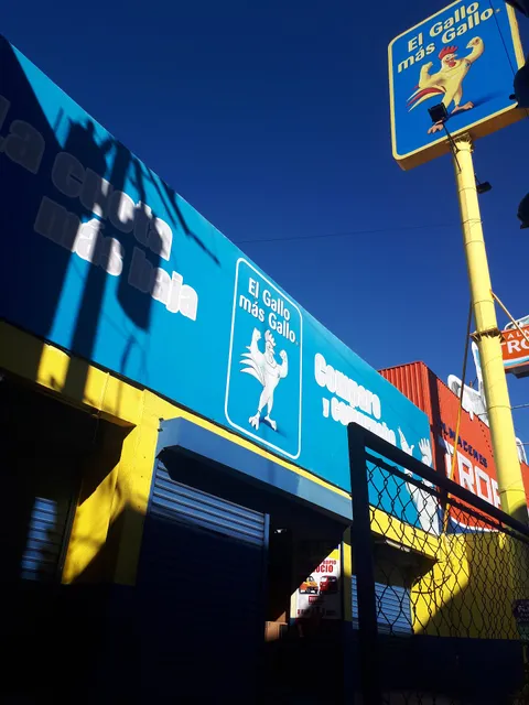 El Gallo más Gallo • Sololá