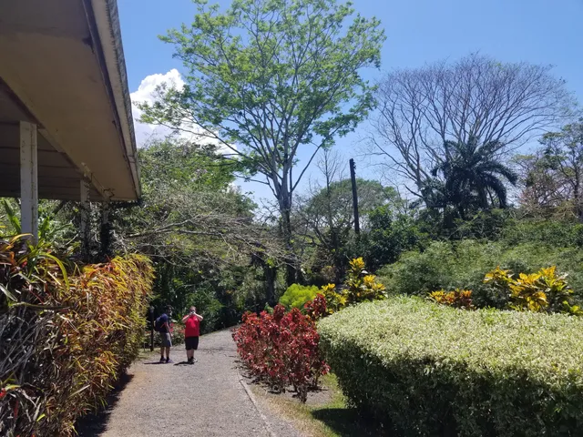 Pura Vida Gardens And Waterfall