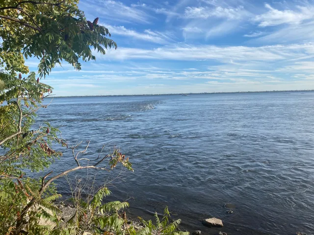 Maynard-Ferguson Park