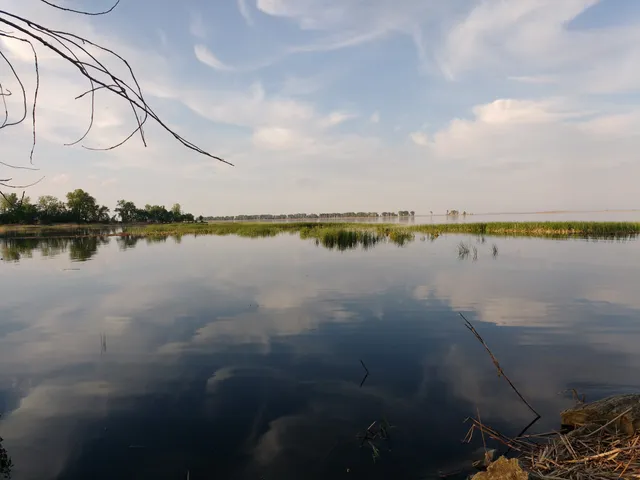 Green Bay West Shores State Wildlife Area