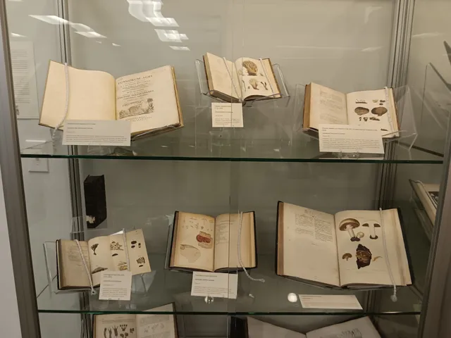 Lloyd Library and Museum