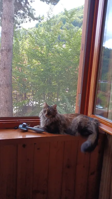 Residence I Comignoli