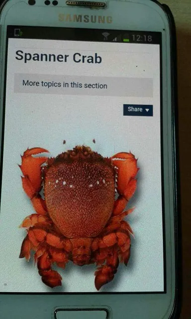 Heyu Fishery Sdn Bhd