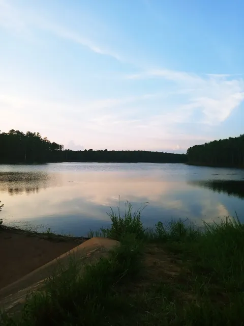 Texas Pond