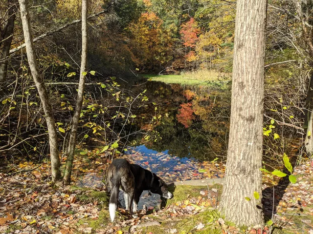 Ridge Hill Reservation