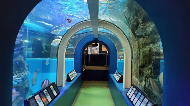 Uozu Aquarium