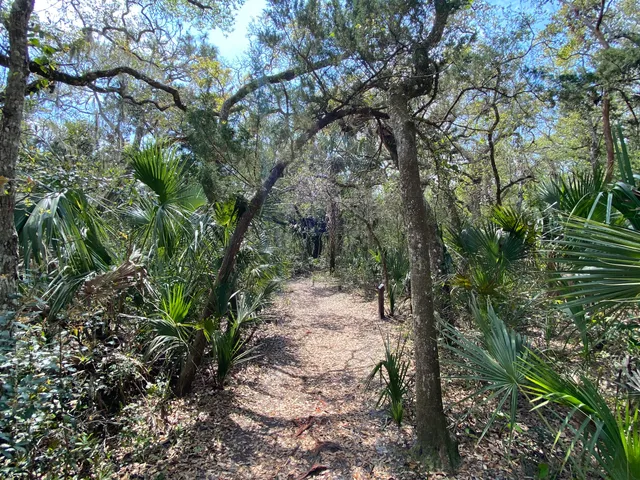 Ancient Dunes Nature Trail