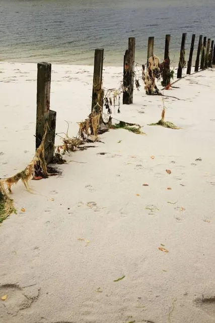 Silversands Trekking Centre