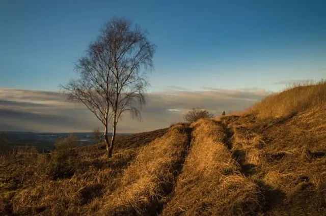 Park Hall Country Park