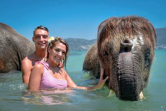 Elephant Swims @Lucky Beach, Tri Trang