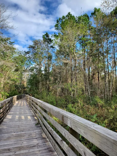 Jones Swamp Wetland Preserve & Nature Trail