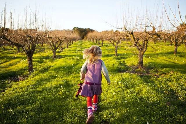 Togokusan Fruit Park