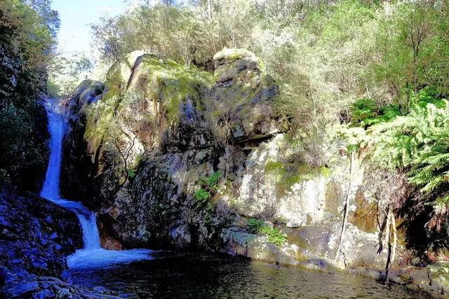 Rollasons Falls Track