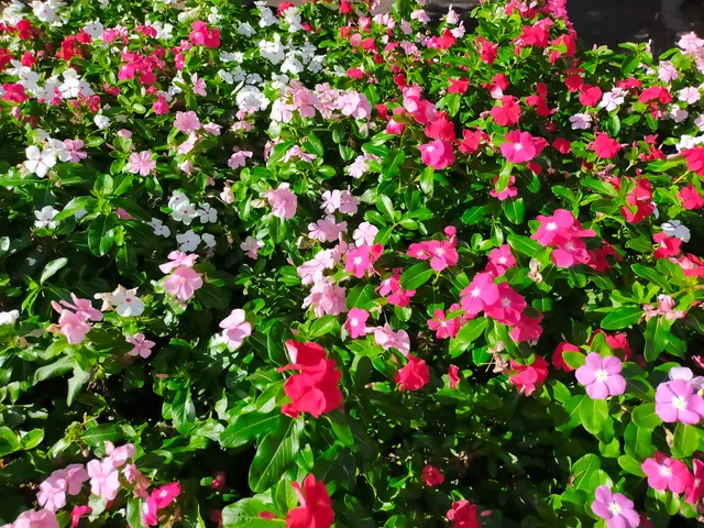 Minamikase Shitamachi Park